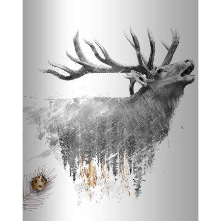Gran Reserva Ricardo Dumas